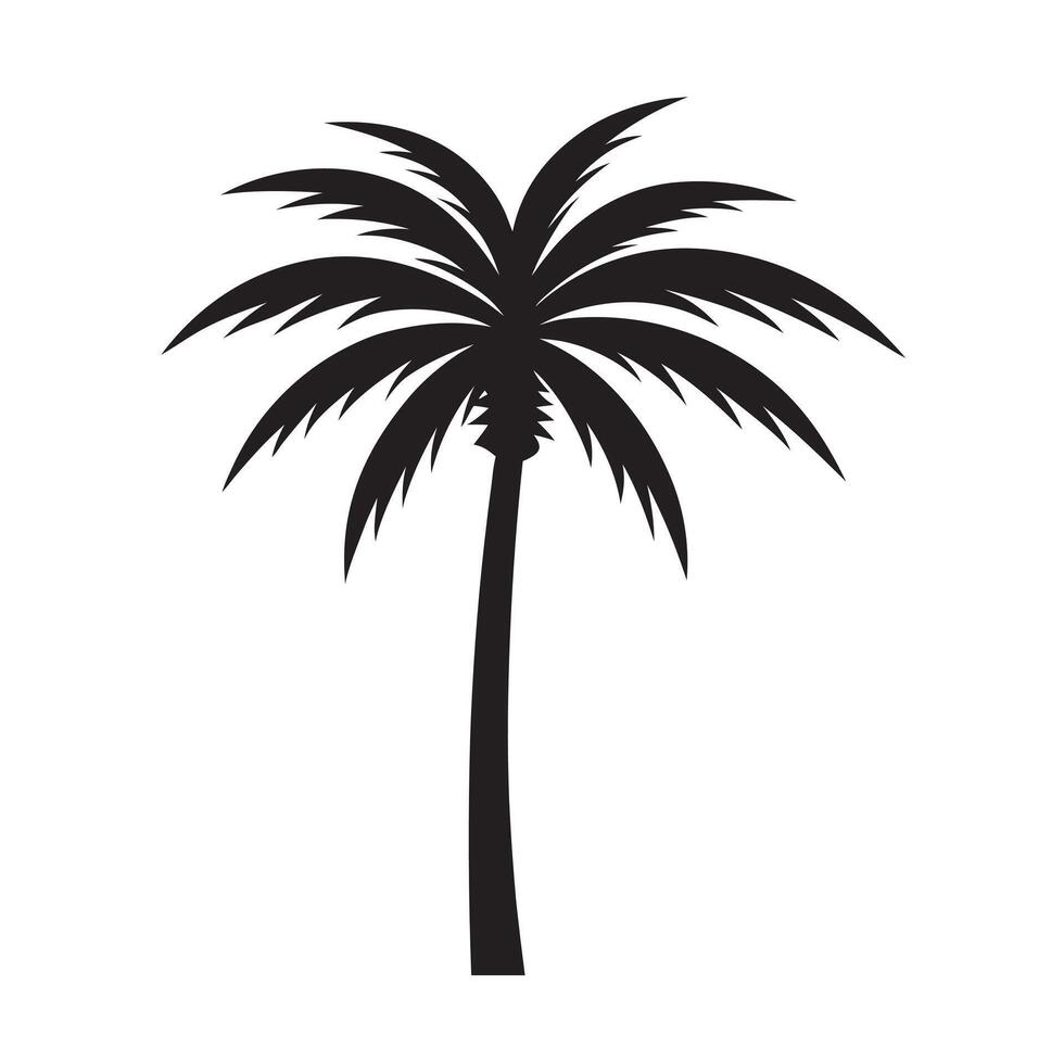 Detailed botanical palm tree silhouette illustration vector