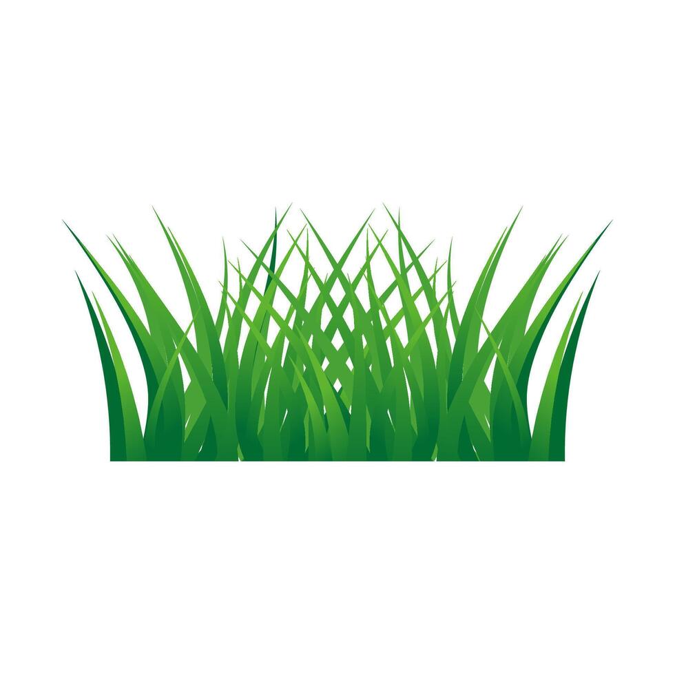 Green grass designs isolated on white background vector