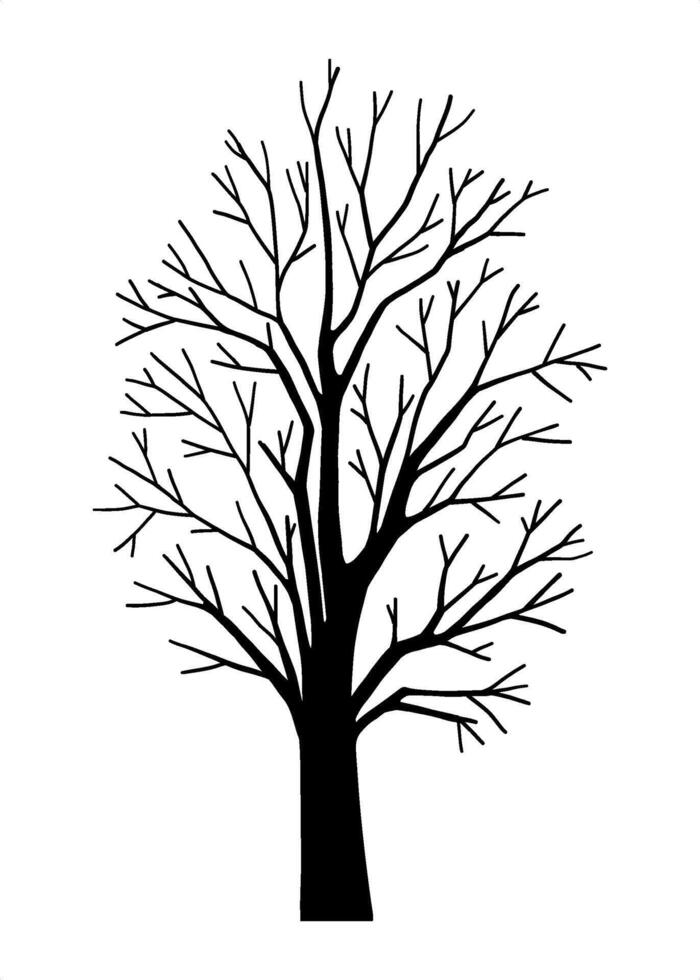 Big hand drawn leafless Bare tree silhouette, decorative botany design elements, natural organic eco plant system, autumn or winter isolated clip art for Halloween banner layout, forest concept vector