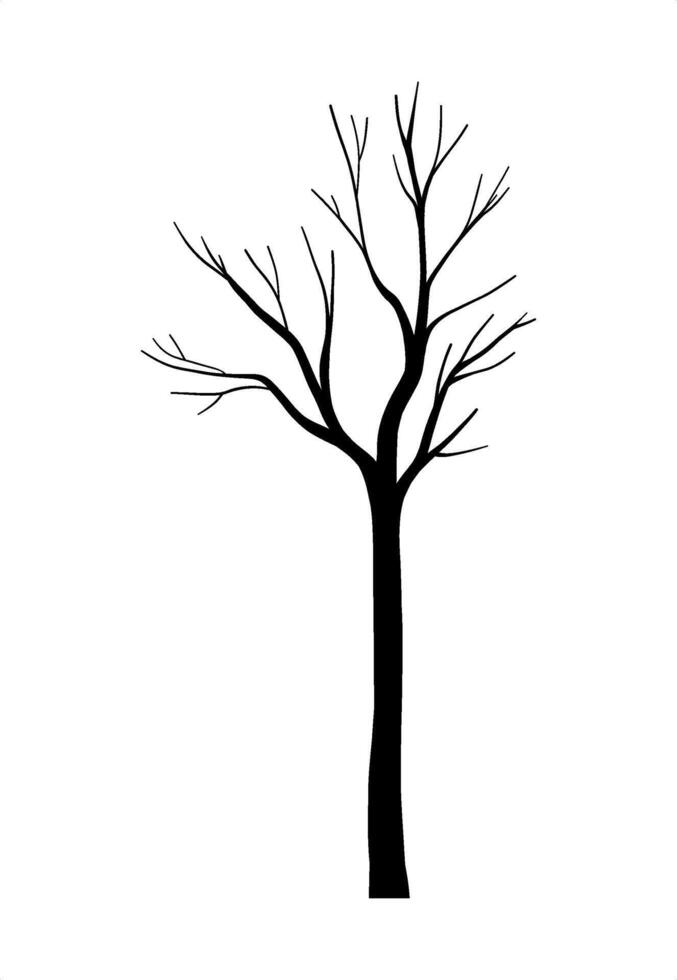 Leafless tree silhouette with bare forest branches, decorative botany design outdoor elements, natural eco plant system, depression autumn or winter isolated clip art for Halloween layout banner vector