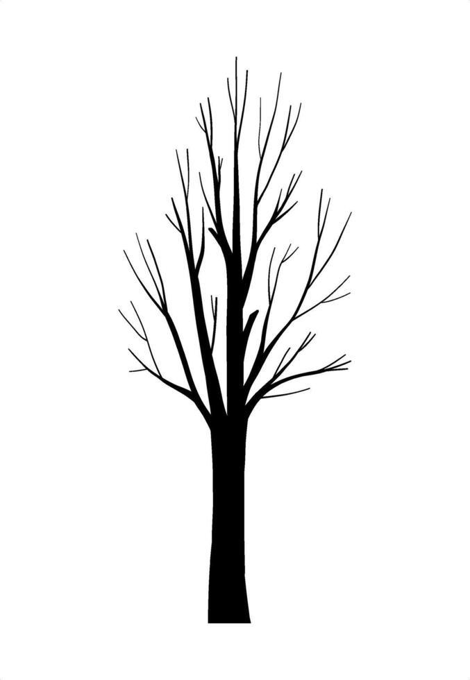 Leafless tree silhouette with bare forest branches, hand drawn botany design outdoor elements, natural eco plant system organic shapes, autumn or winter isolated clip art for Halloween decorations vector