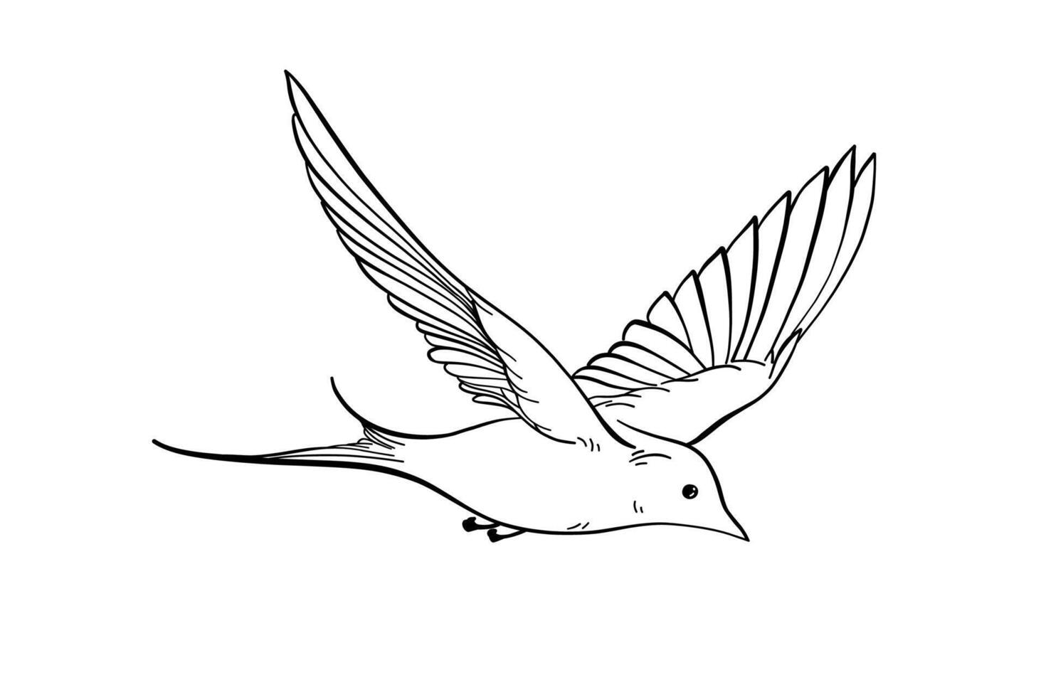 Flying swallows line art isolated on white, elegant spring birds in outline sketch for postcards, embody freedom, nature harmony or romantic mood, serene state of mind in minimalist design vector