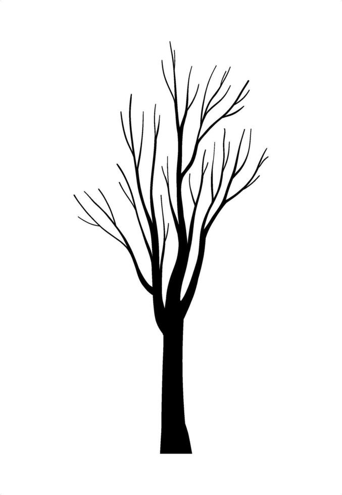 Leafless tree silhouette with bare forest branches, Tree Trunks hand drawn Drawing botany outdoor design elements, natural eco plant system, trunk wood autumn or winter isolated clip art for Halloween vector