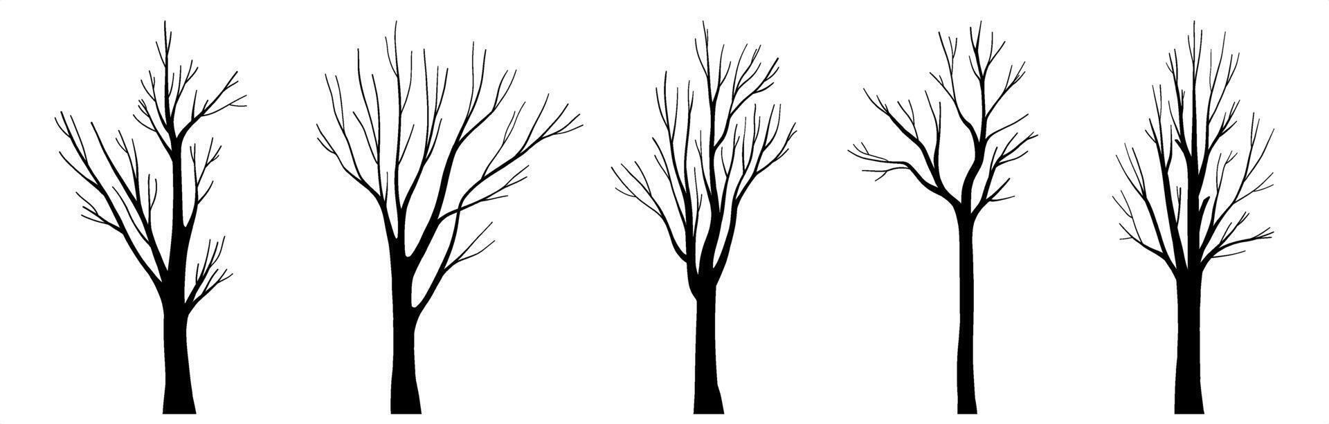 Set of realistic natural bare tree silhouette, trunk wood collection, decorative botany design elements, hand drawn plant system, autumn or winter isolated clip art for Halloween trees decorations vector