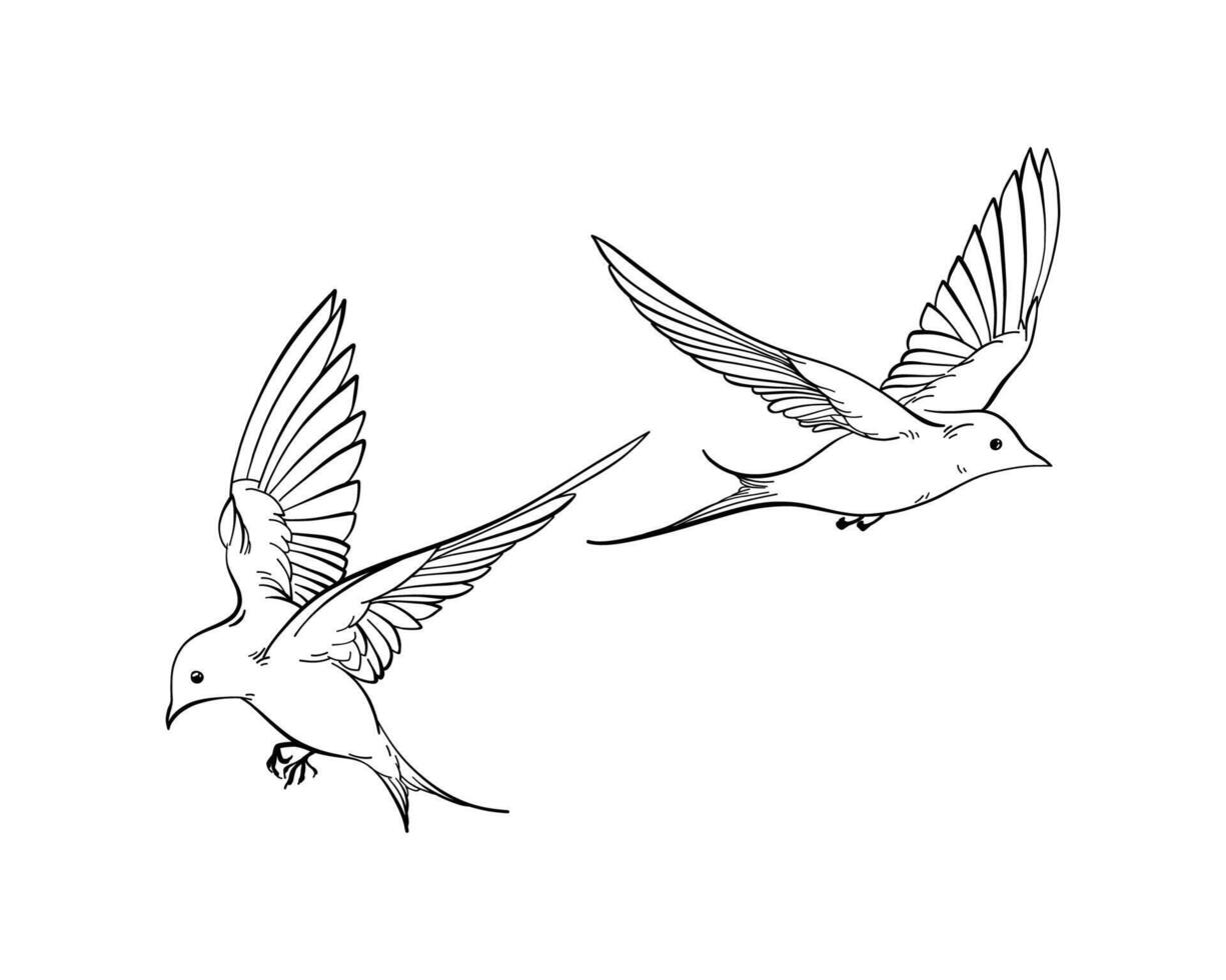 Flying swallows line art, elegant spring birds in outline sketch, isolated on white, perfect for postcards, embody freedom, nature harmony or romantic mood, serene state of mind in minimalist design vector
