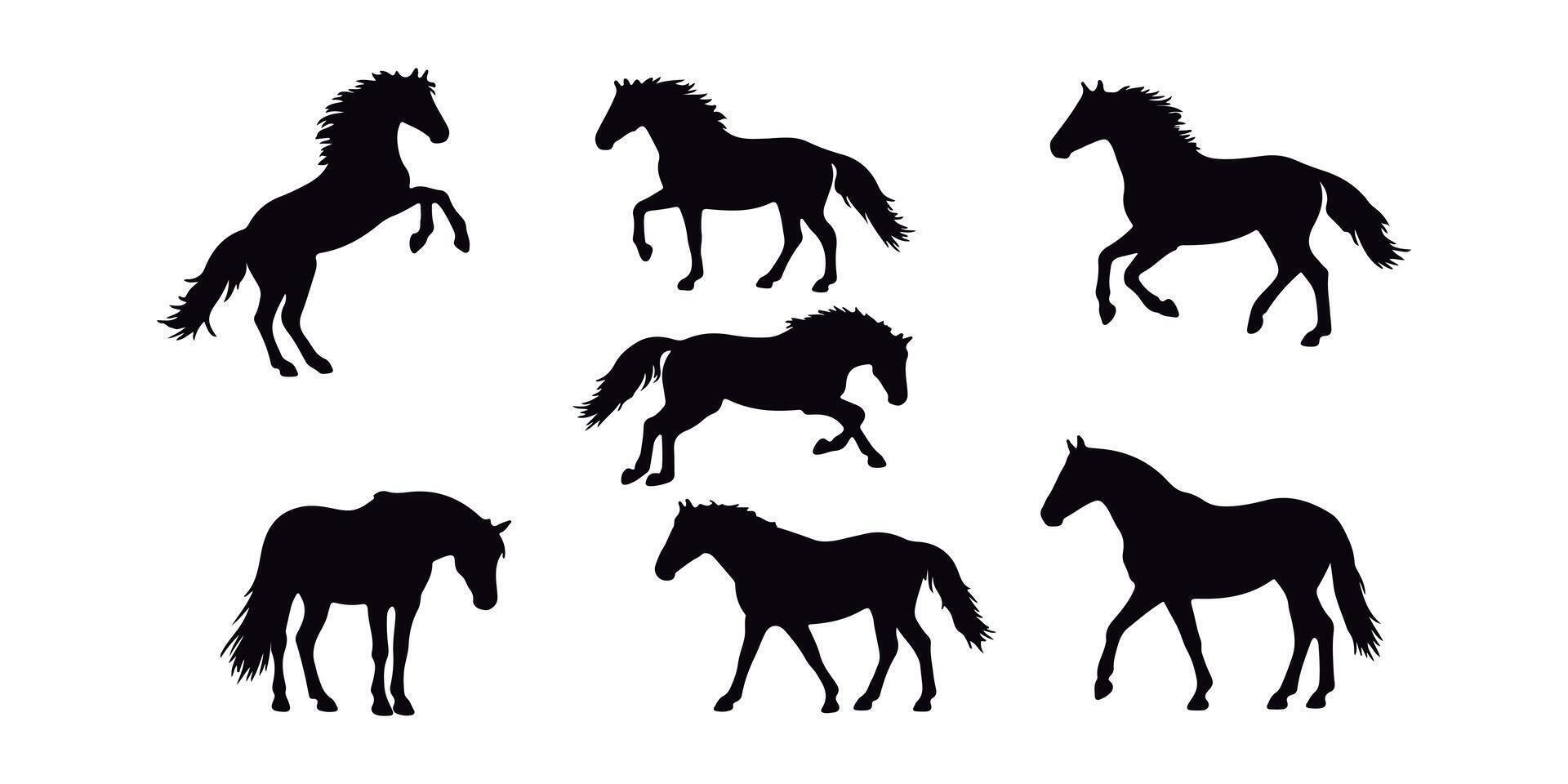 Beautiful Pack Different Horse Silhouettes on White Background. vector