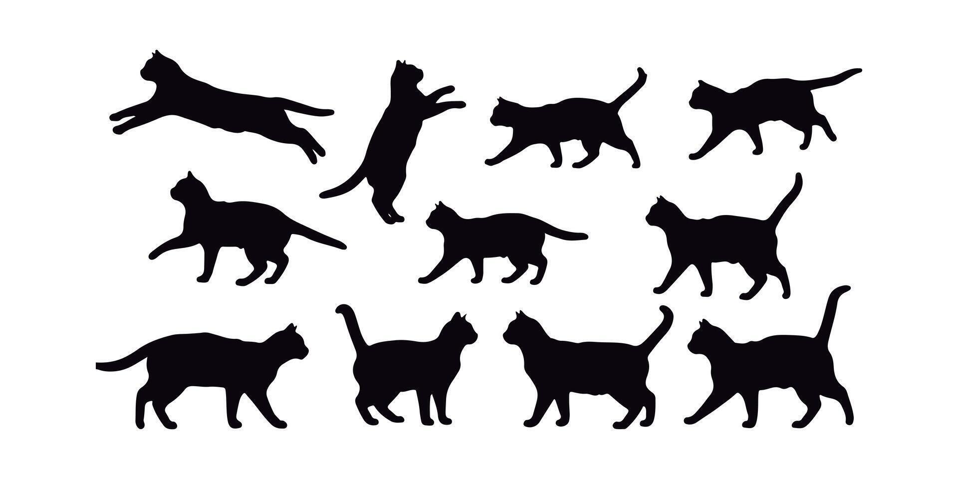 Amazing Cat Silhouettes Collection Diverse Poses for Design Elements. vector