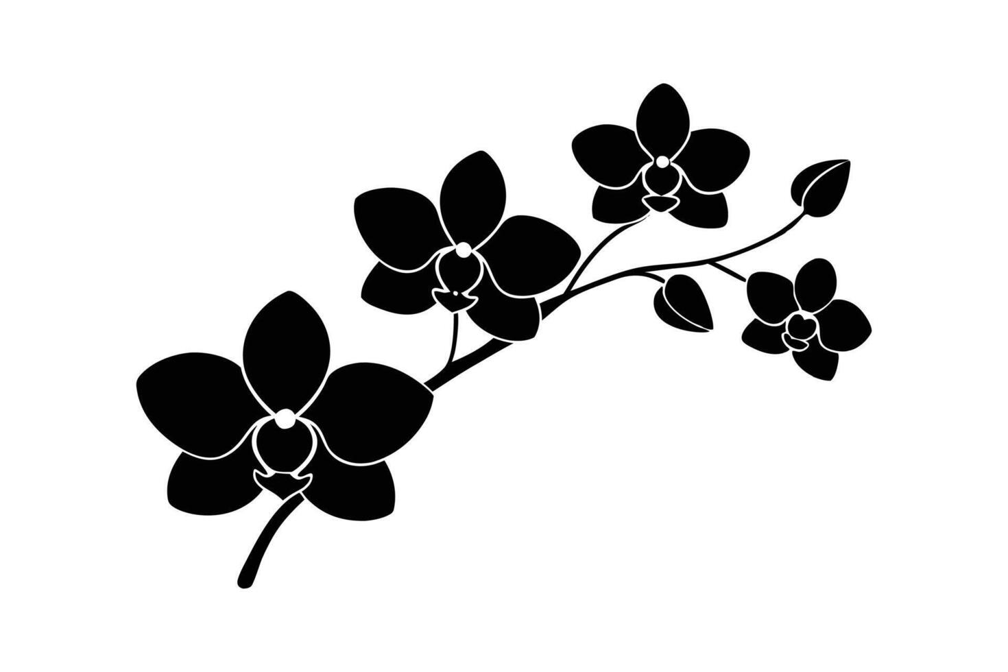 Silhouette art illustration of orchid branch vector