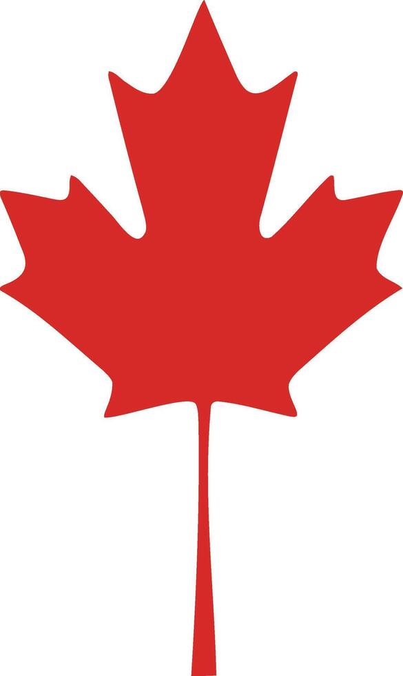 Maple leaf icon. Maple leaf illustration. Canada symbol maple leaf clip art. Red maple leaf. vector