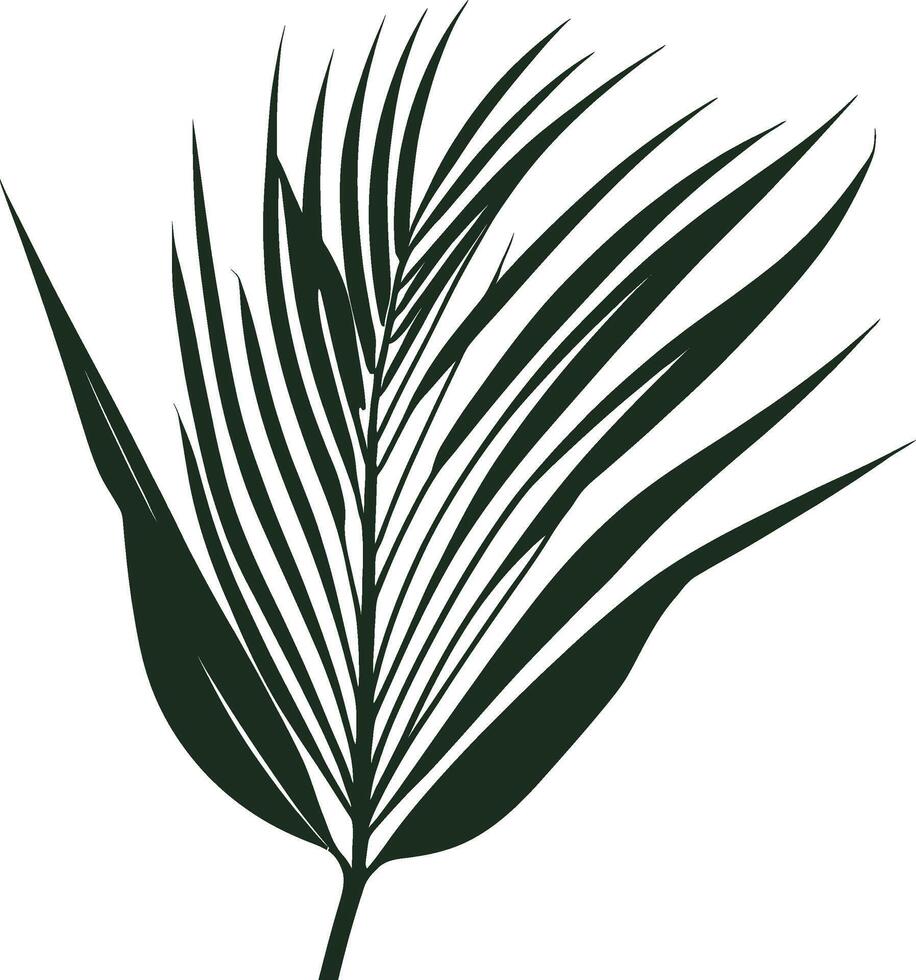 Silhouette Tropical exotic leaves. Calathea, Monstera and palm leaves. black and white illustration. vector