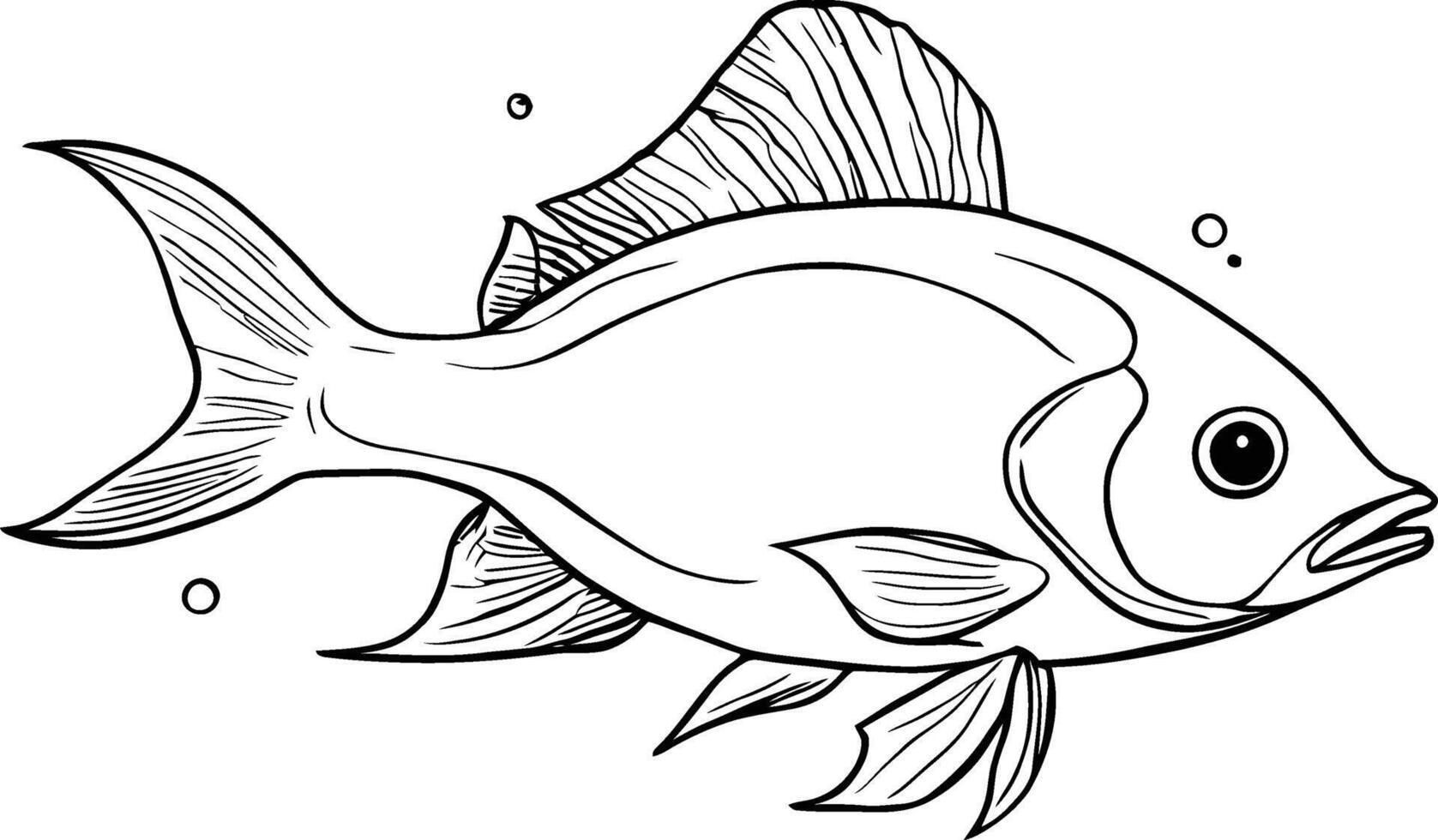 Outlined fishes. Sea and river species hand drawn. fish line art on white background. isolated clip art. vector