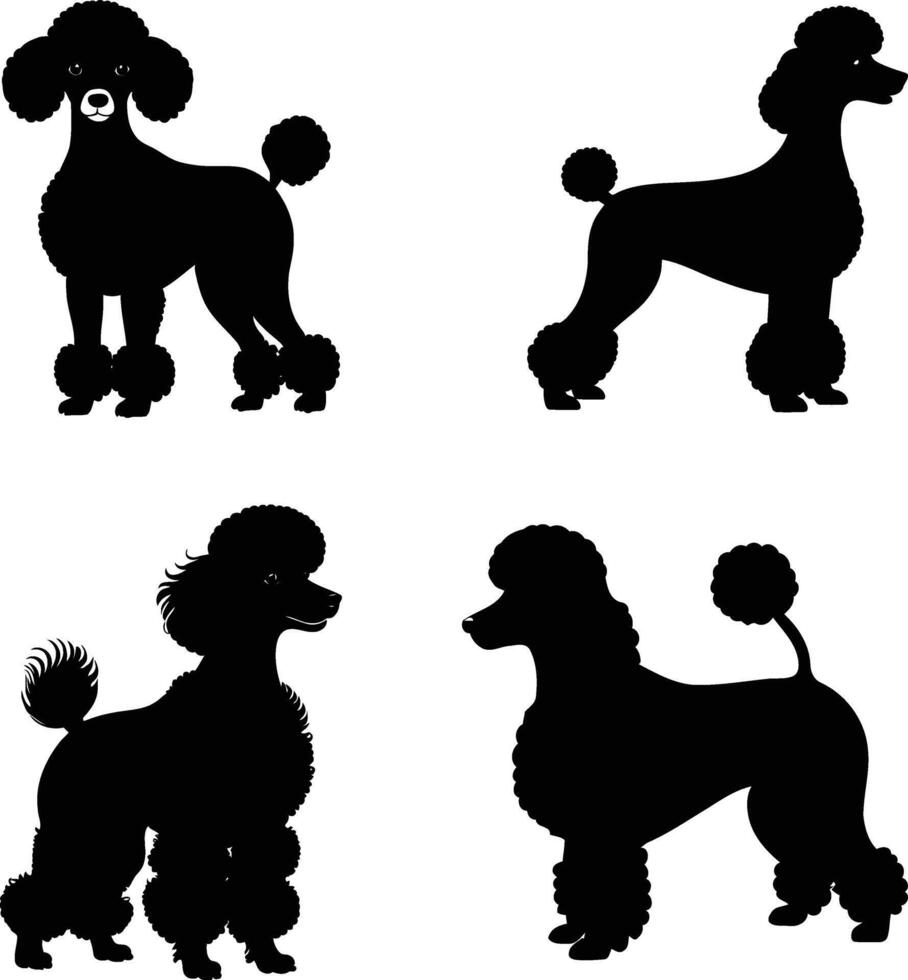 Set of Poodle Dog Silhouettes Featuring Groomed Pets, Elegant Canine Poses, Fluffy Fur, Purebred Dog Collection, and Stylish Companion Animals vector