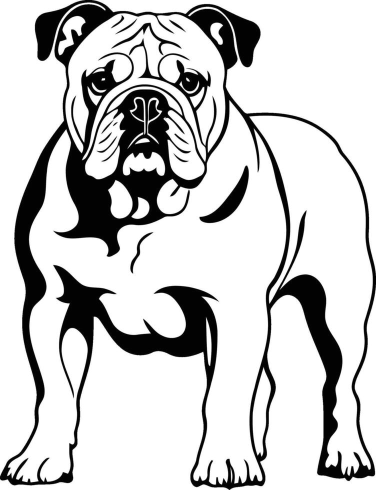pet animal dog standing silhouette. illustration of an american bulldog. vector