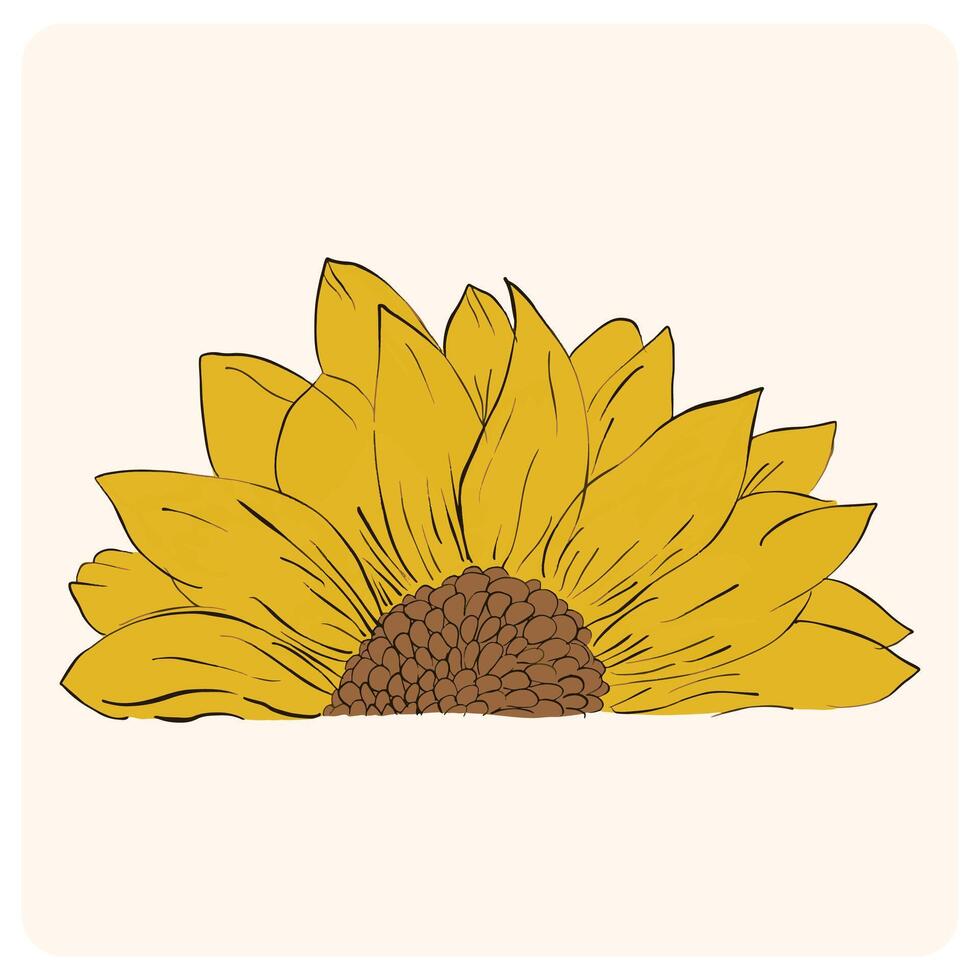 Sunflower Sketch Illustration vector