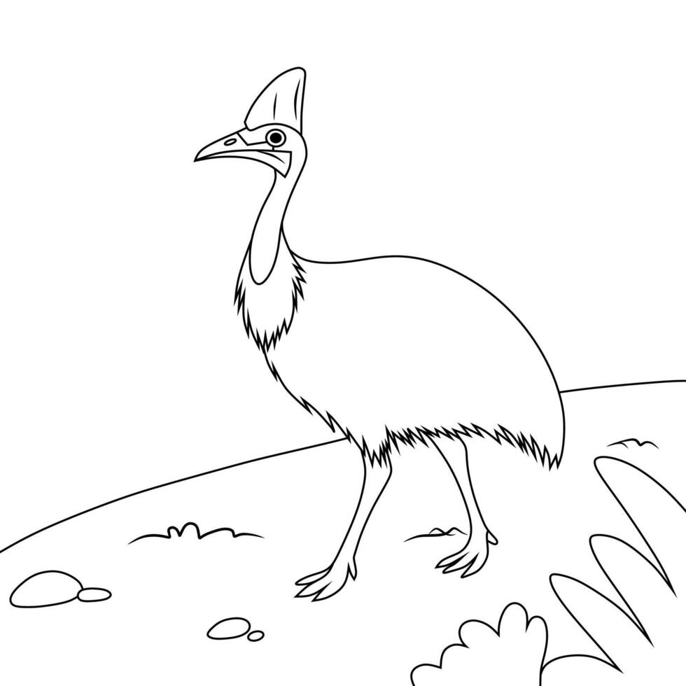 Cassowary Line Art Illustration vector