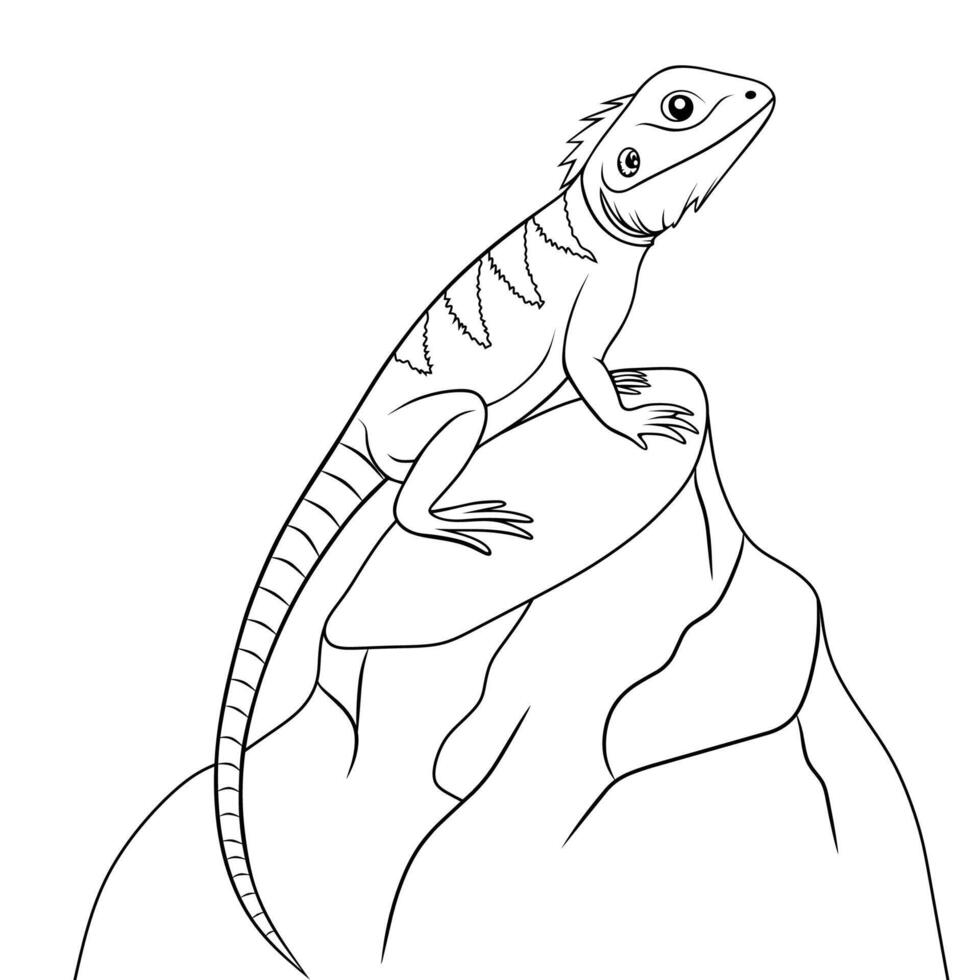 Line Art Lizard on Rock vector
