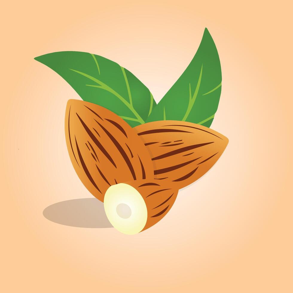 This beautiful digital illustration showcases almonds in their natural form, including whole almonds, a cut almond, and fresh green leaves. vector
