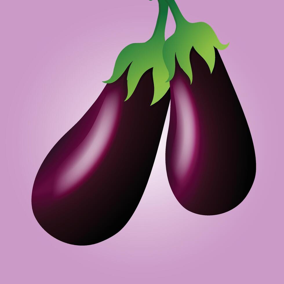 Two glossy eggplants , Brinjal with a rich purple hue, their smooth surfaces gleaming under soft lighting. Attached to each is a vibrant green stem, adding a fresh and natural touch. vector