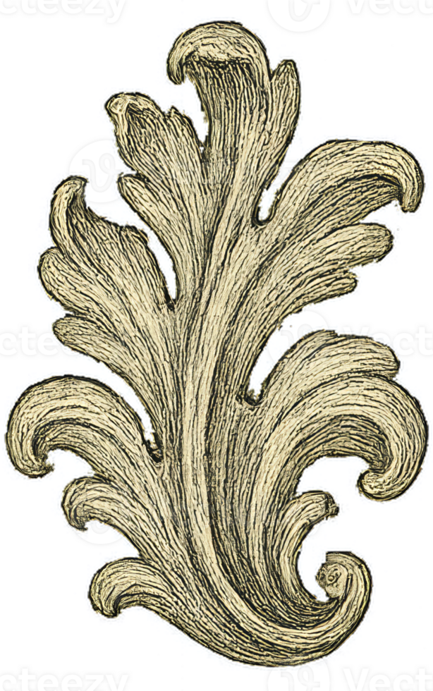 Ornate Decorative Leaf Element with Intricate Detailing in Gold png