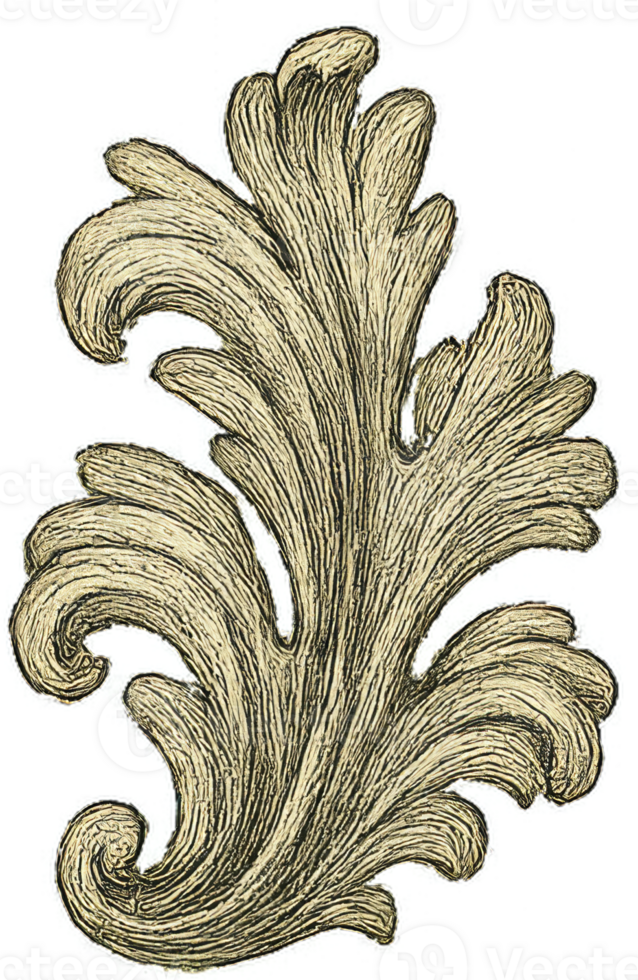 Ornate Vintage Leaf Design with Intricate Curves and Textures png