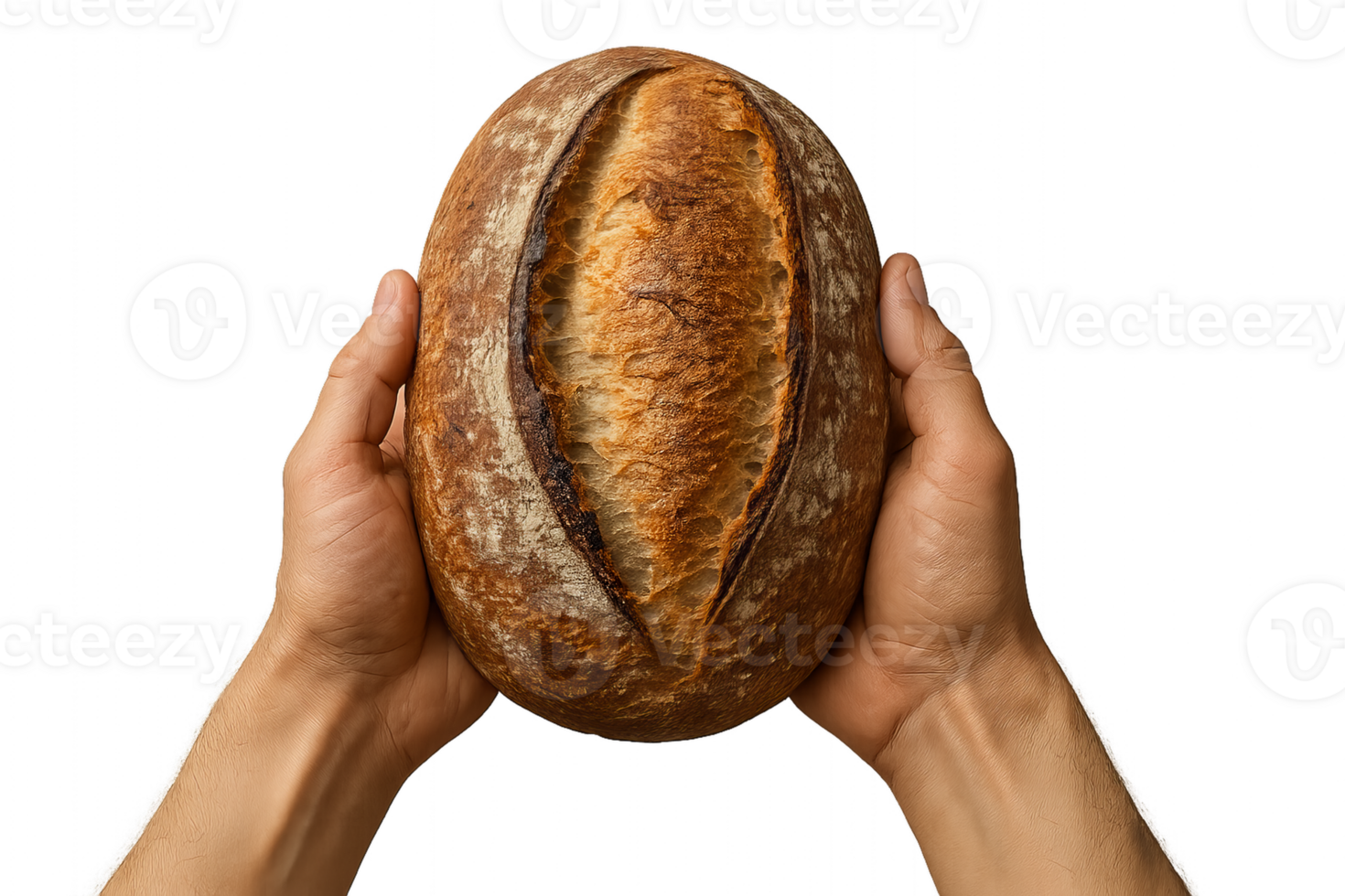 Artisanal Bread Showcase in Hands Against a Neutral Background png