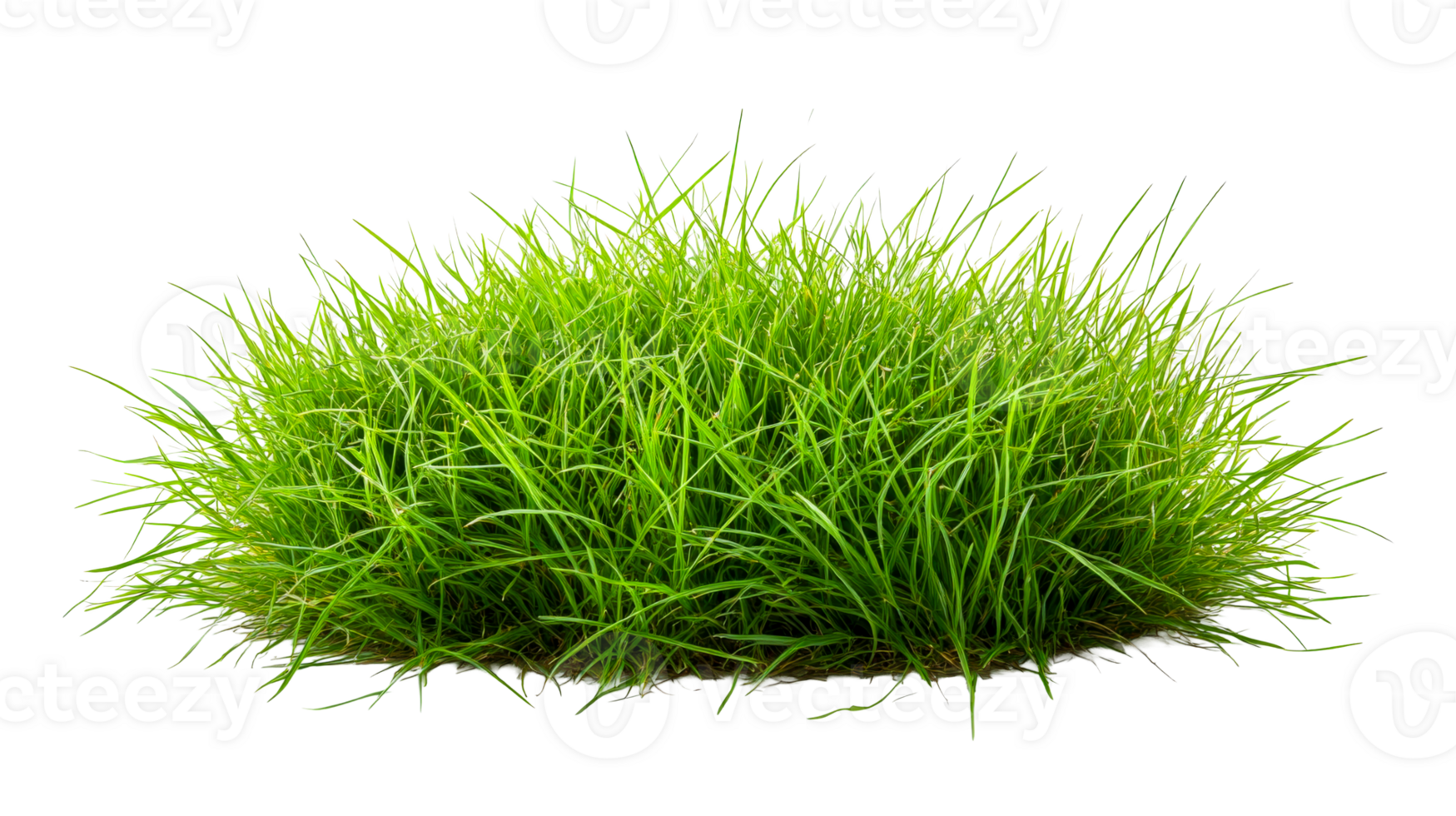 Lush green grass patch for landscaping projects png