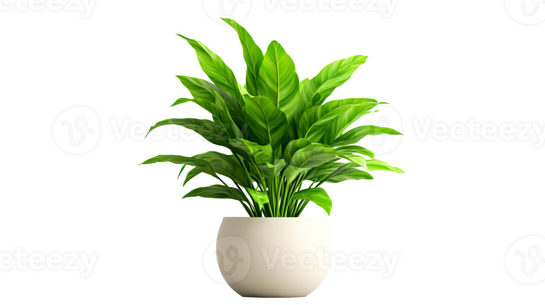 Bright green plant in a simple white pot indoors png