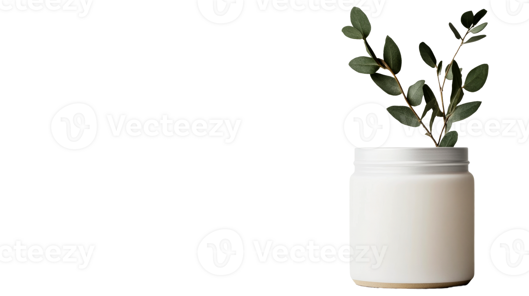 Minimalist white jar with greenery on display png
