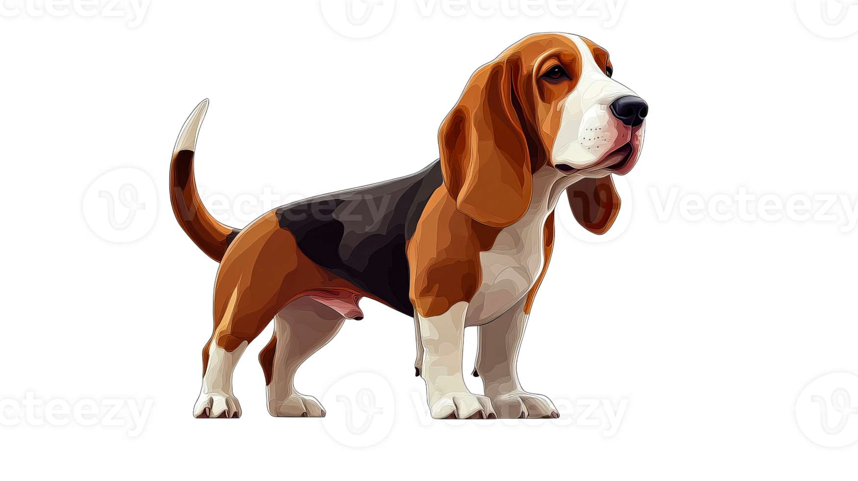 Beagle standing alert with a curious expression png