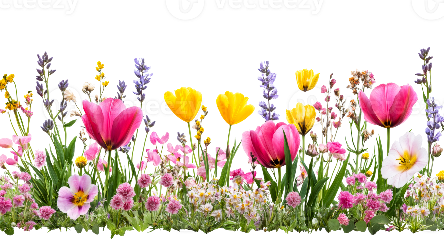 Colorful arrangement of spring flowers in a garden png