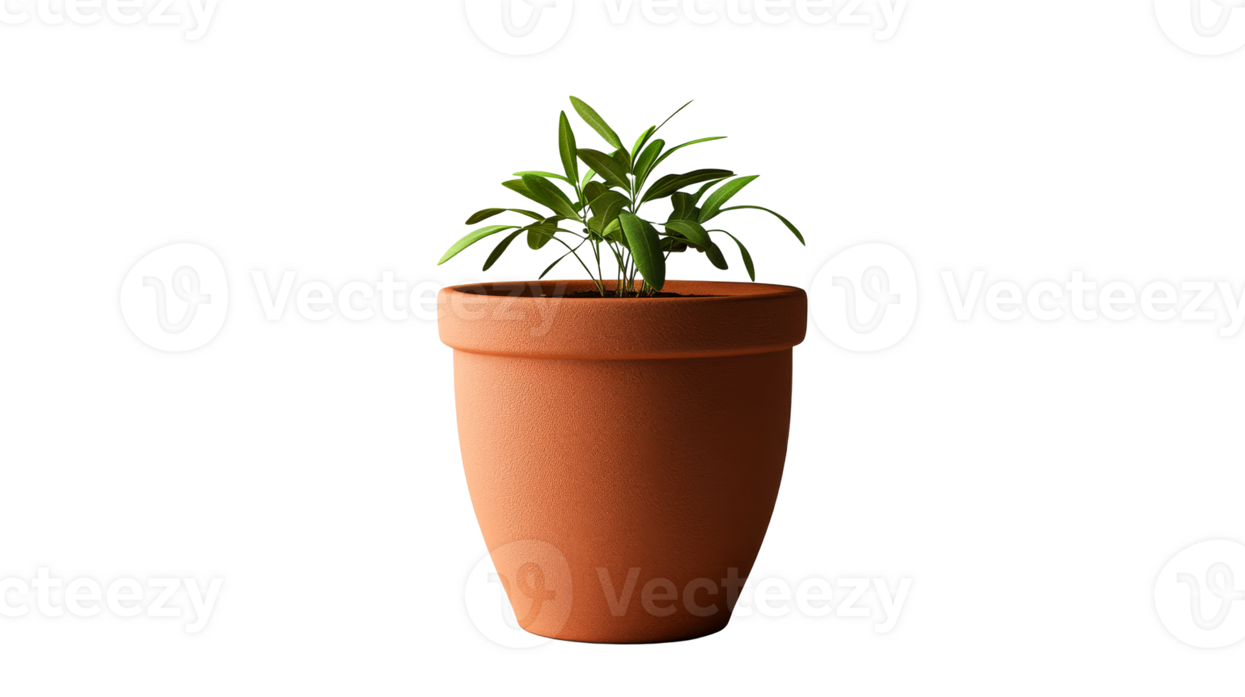 Terracotta pot with indoor plant png
