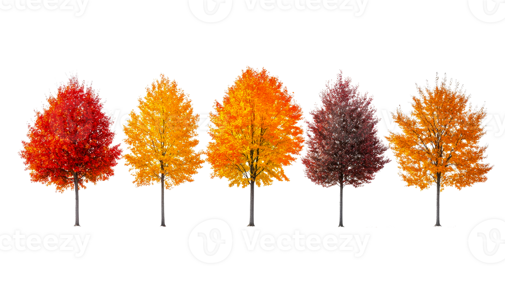 Colorful autumn trees create a vibrant display png