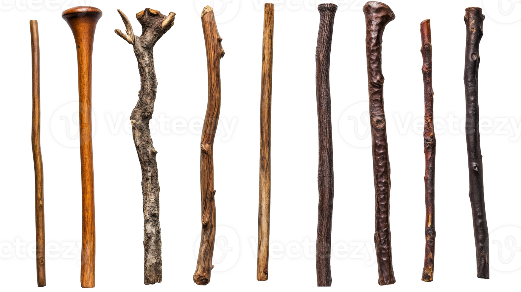 Collection of various natural sticks for crafting png