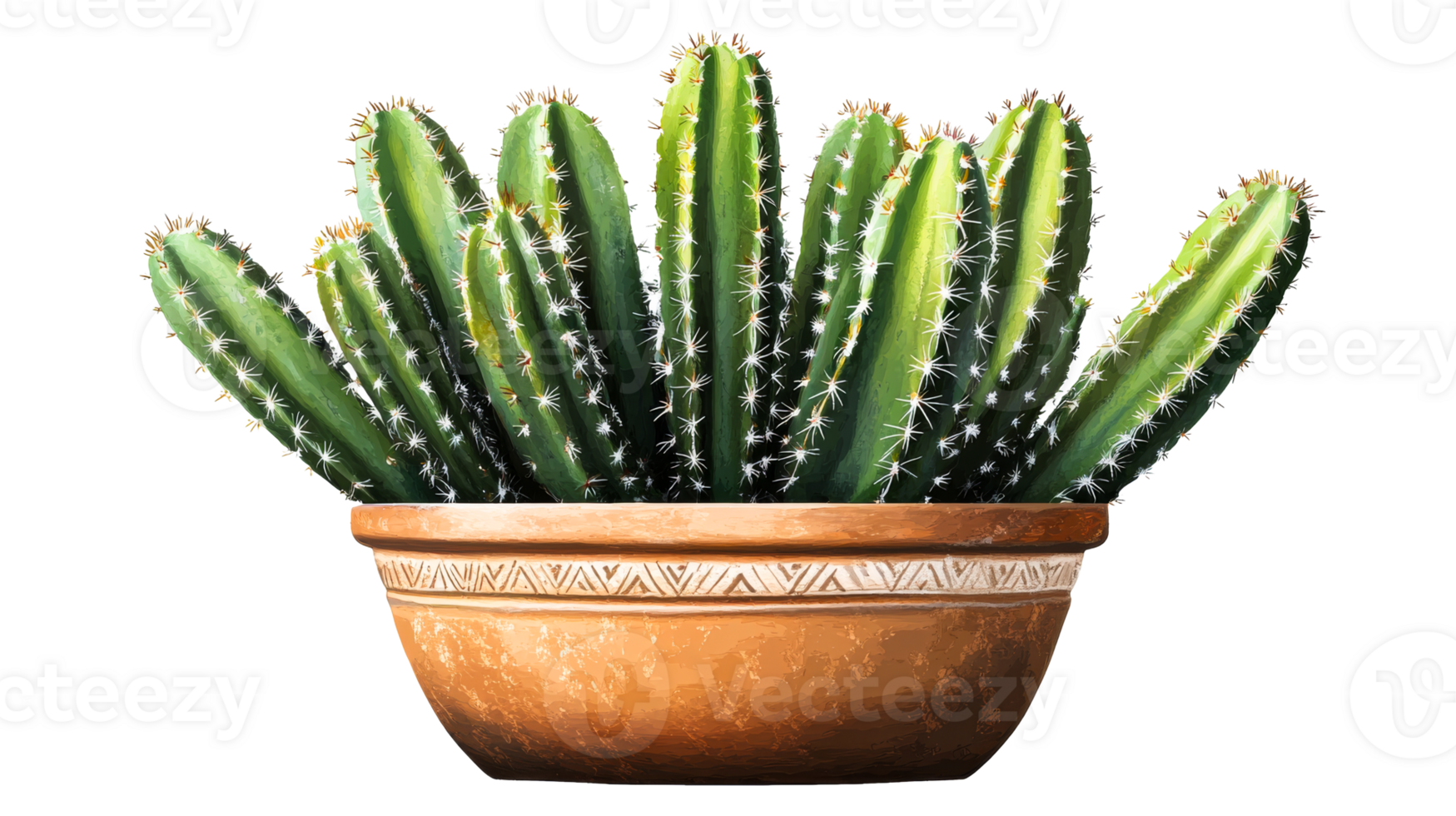 Tall Saguaro Cactus Potted Plant, cut out transparent png