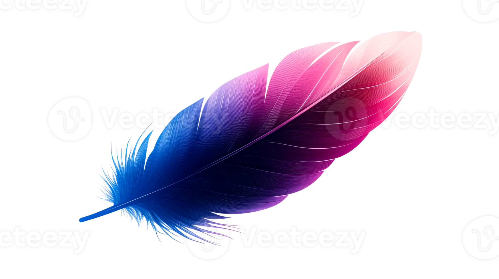Feather detailed vibrant color, cut out transparent png