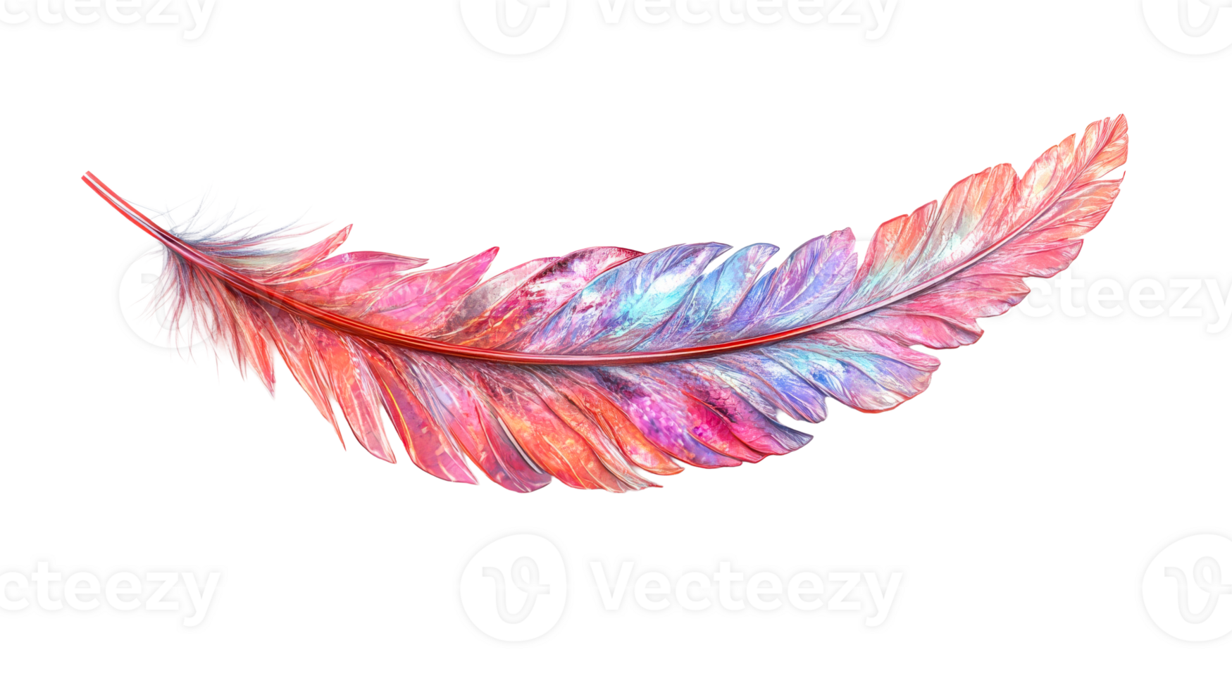 Elegant colorful feather, cut out transparent png