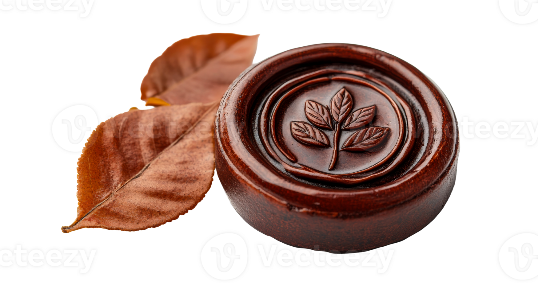 Brown Seal with Leafs, cut out transparent png