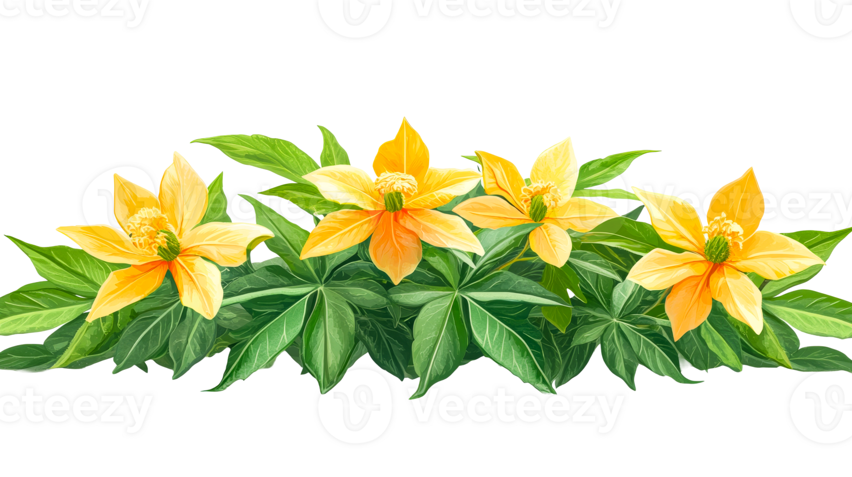 Yellow flower border, cut out transparent png