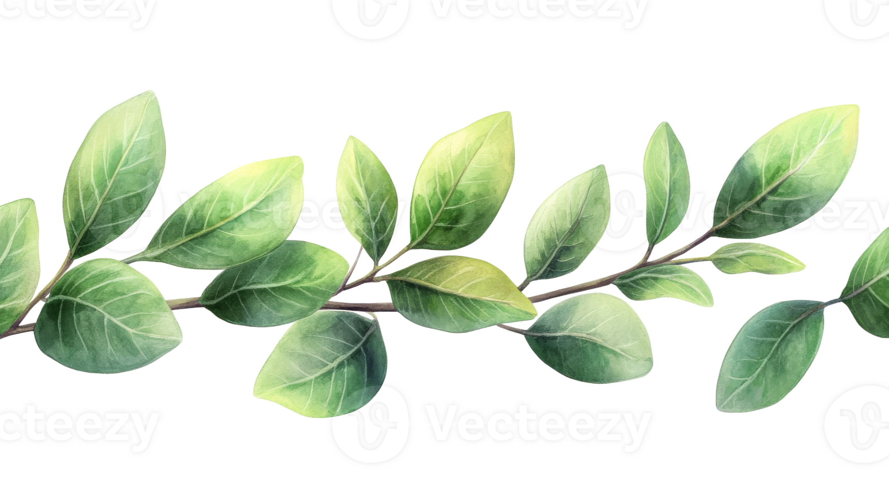 Delicate branch with vibrant green leaves png