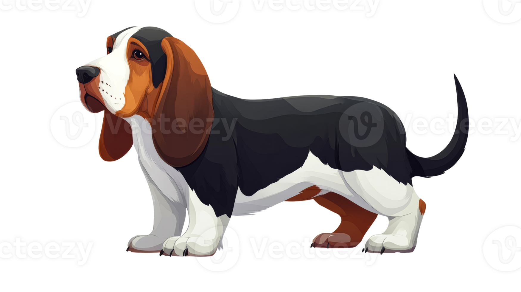 Beagle standing with a confident stance and gaze png