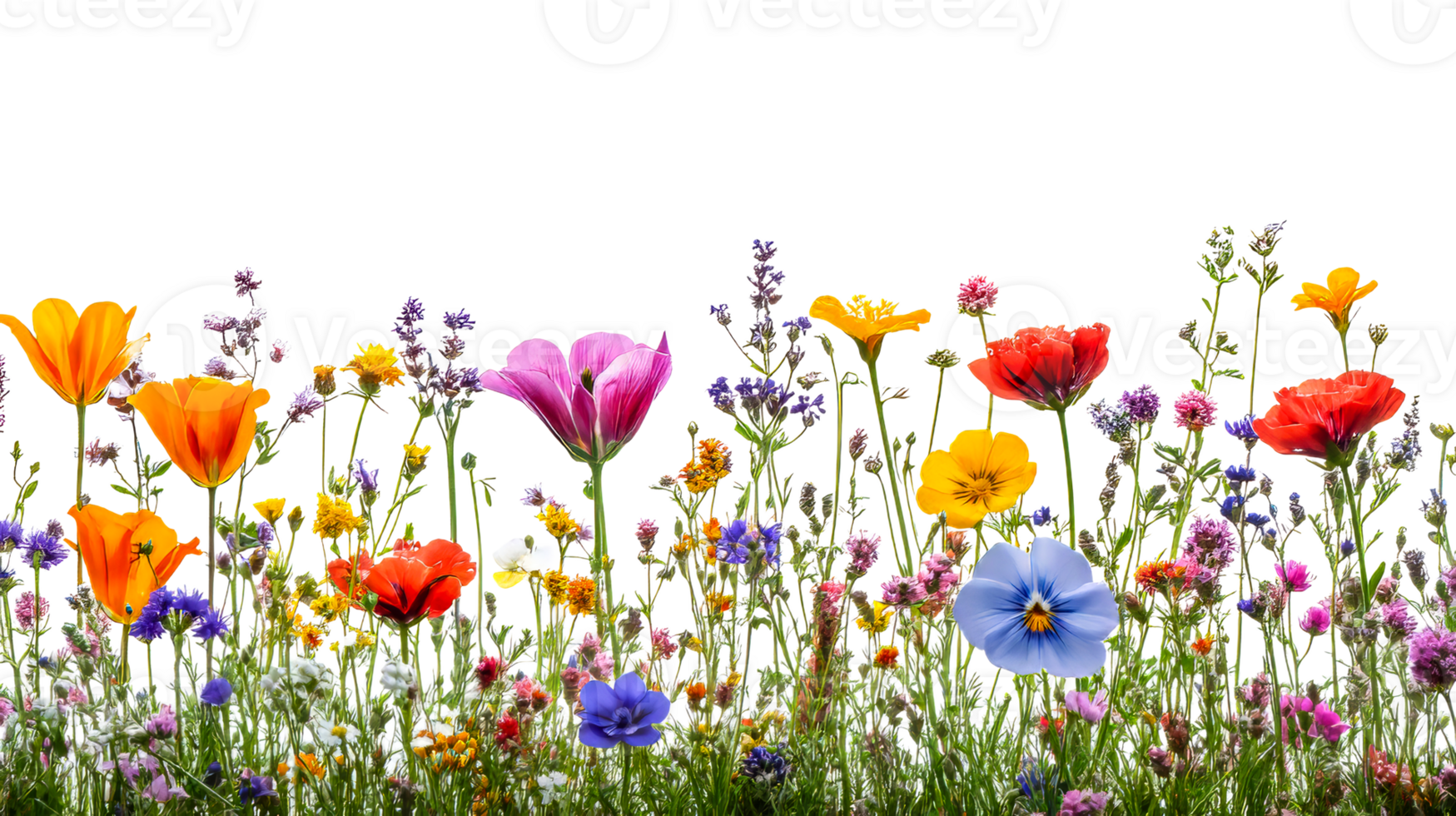 Colorful wildflower bouquet on white png