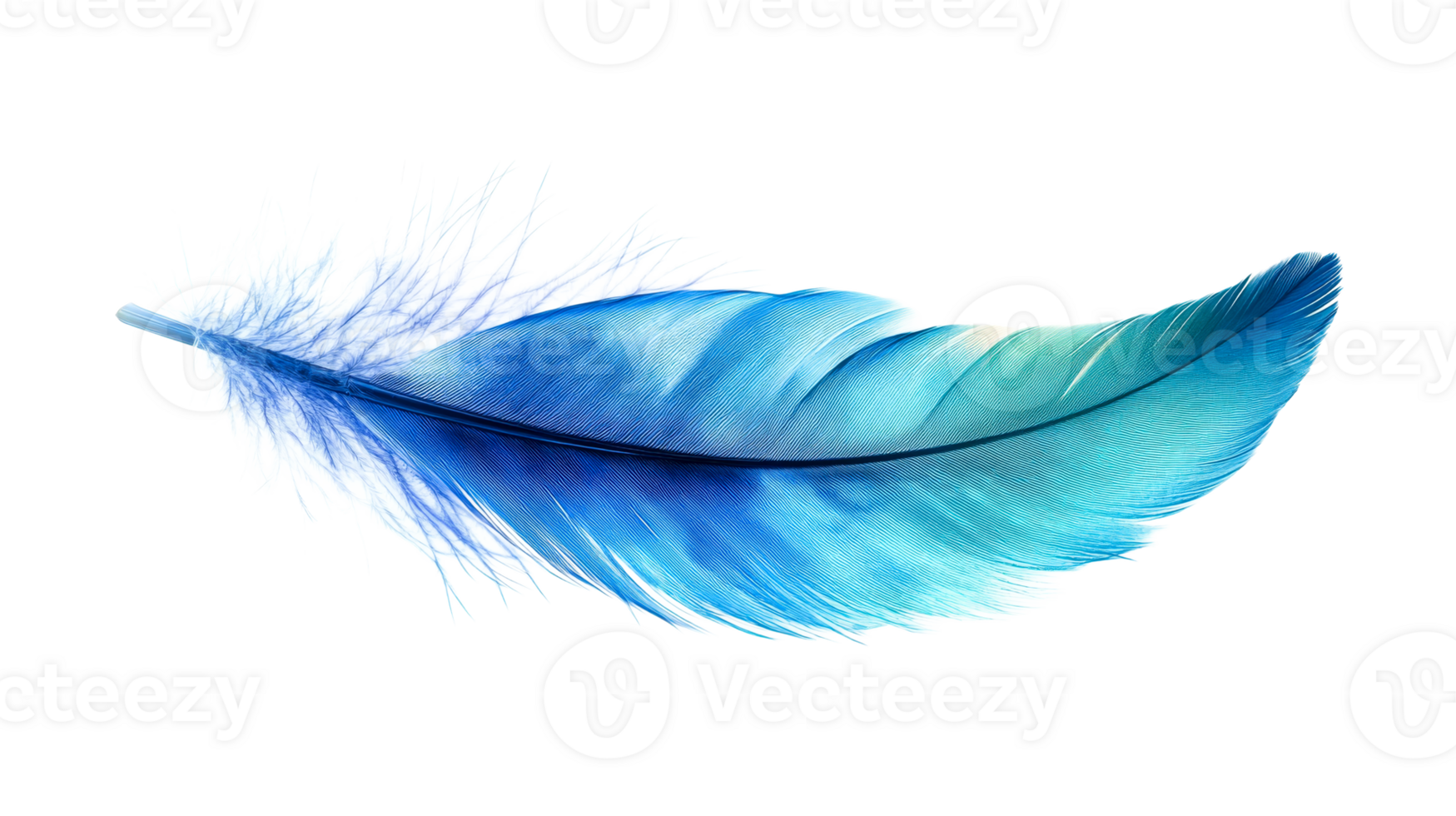 Elegant blue feather with transparent background png