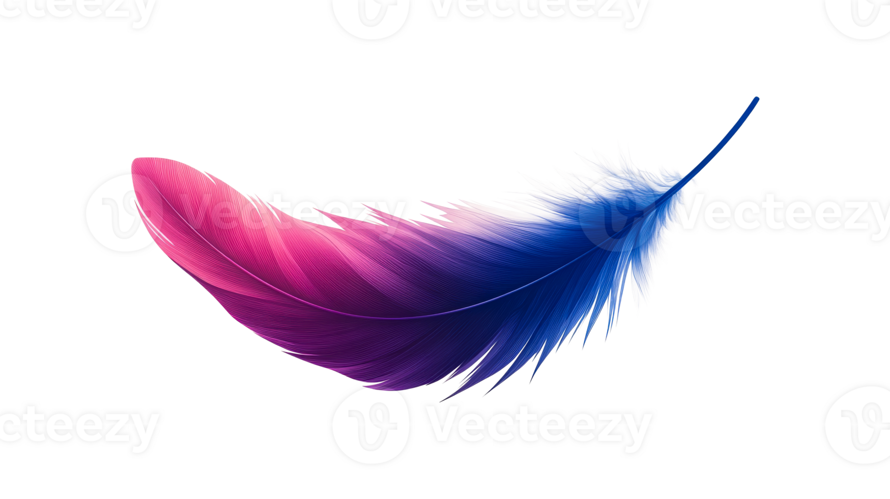 Pink and blue plume, cut out transparent png