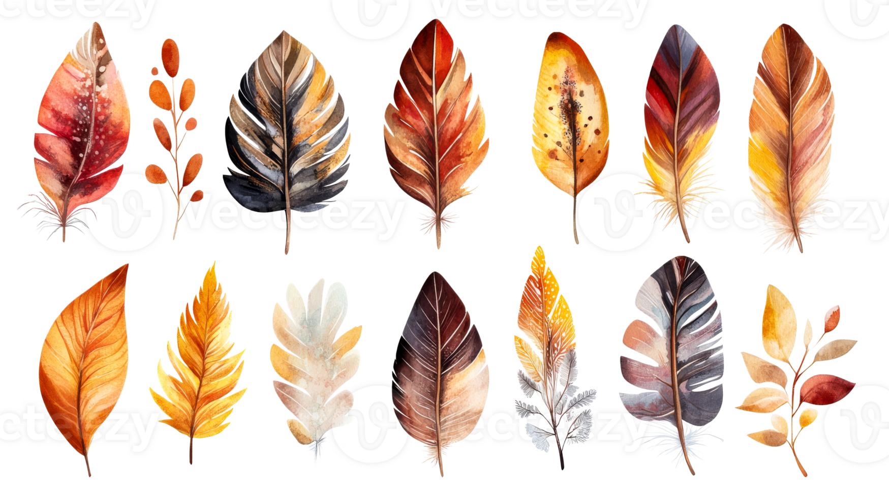 Fall feathers, leaves, collection, cut out transparent png