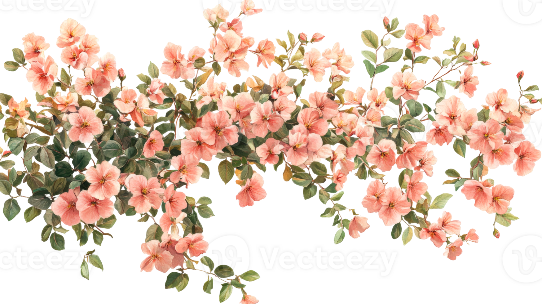 Pink blooms branch foliage, cut out transparent png
