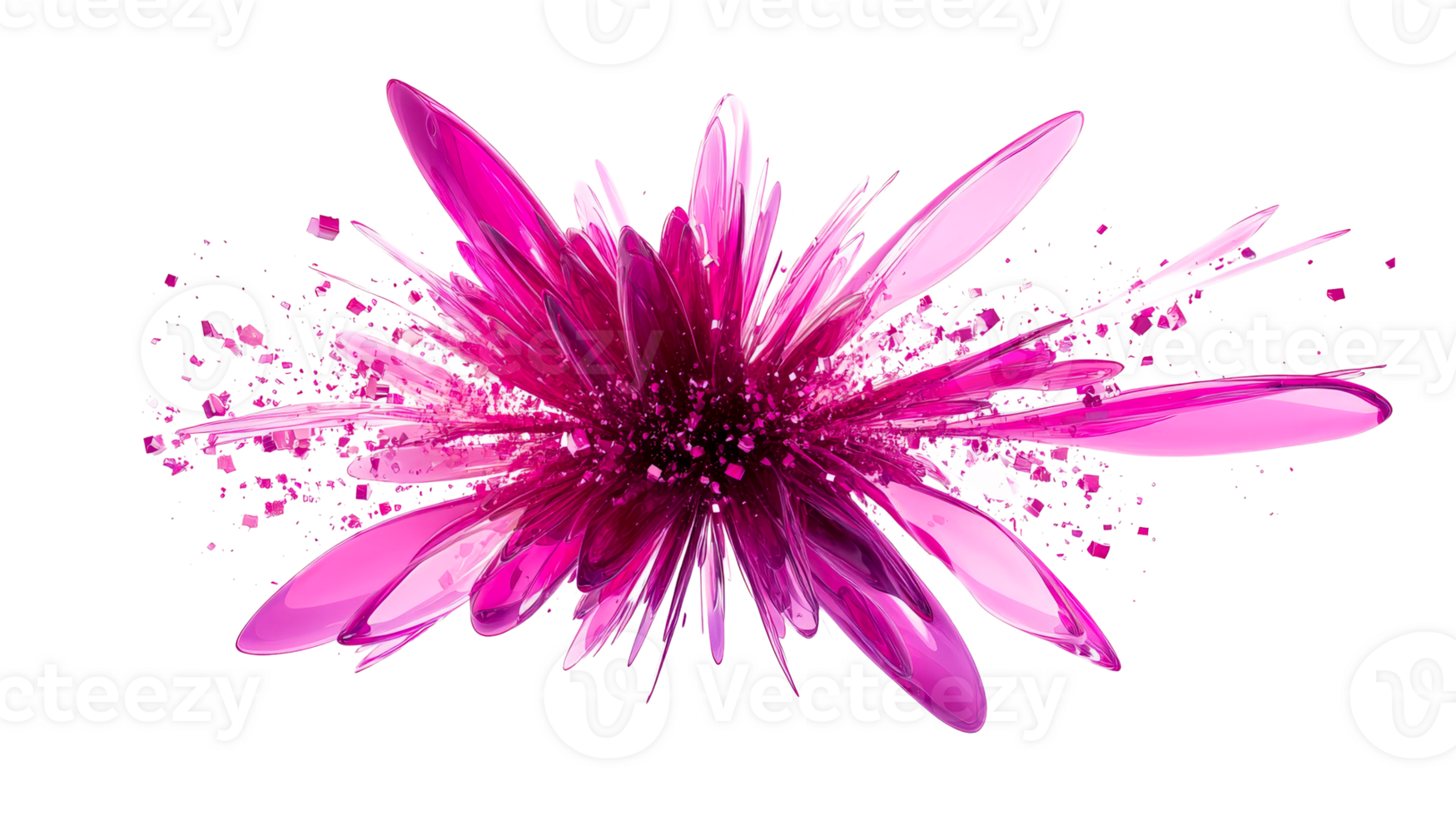 Pink Floral Explosion on Black, cut out transparent png