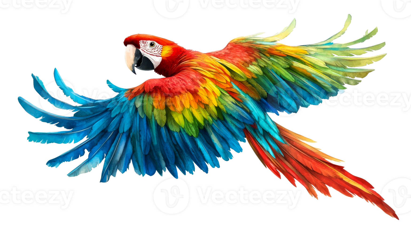 Flying macaw, tropical bird, isolated, cut out transparent png