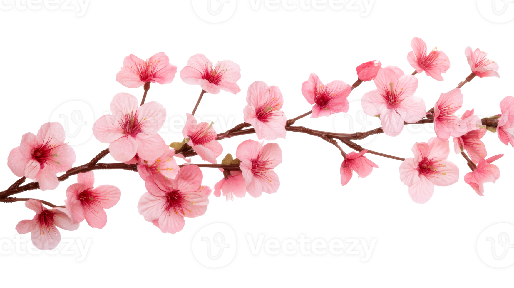 Pink blossom twig, cut out transparent png
