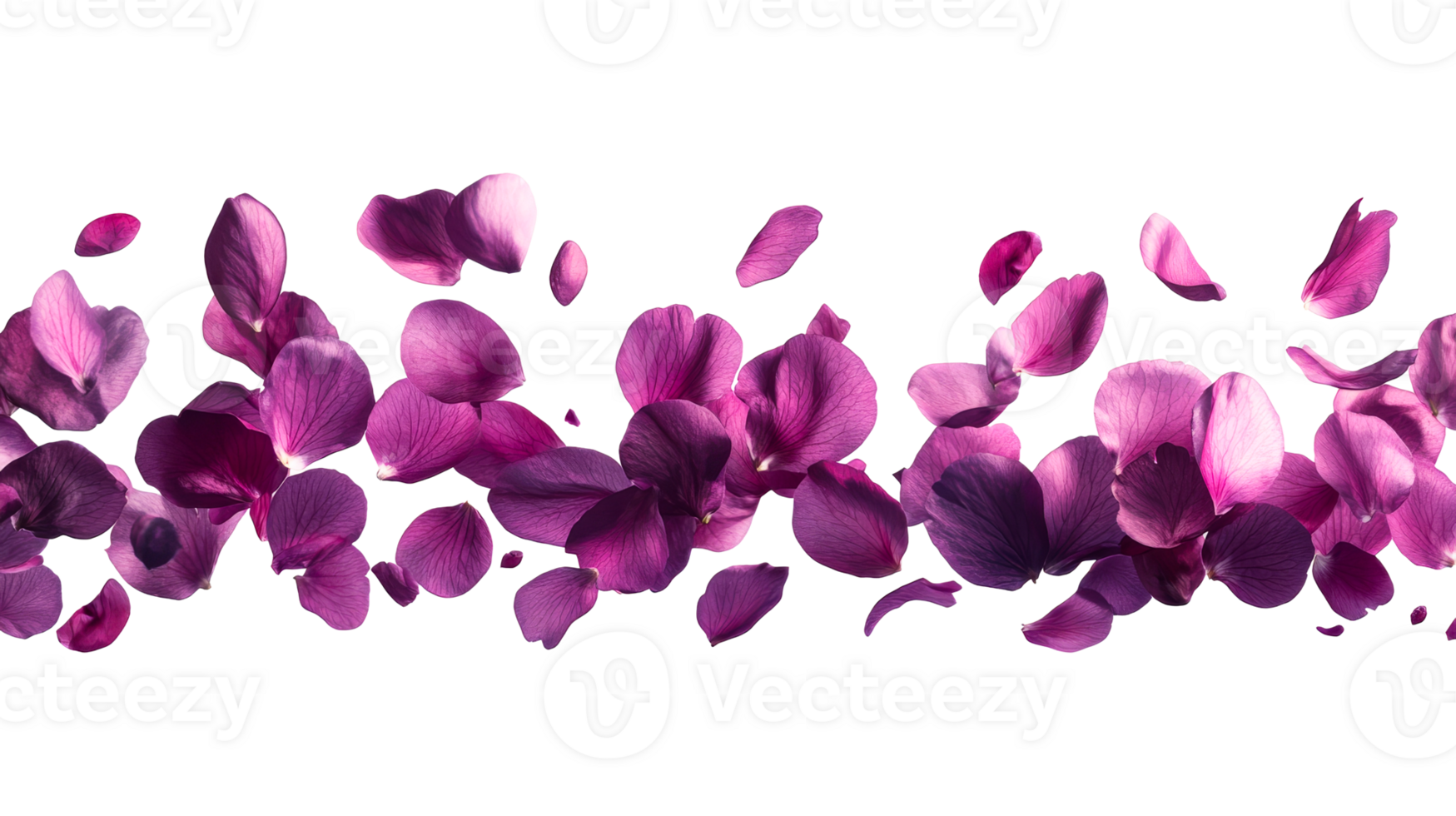 Purple flower petals floating gracefully in air png