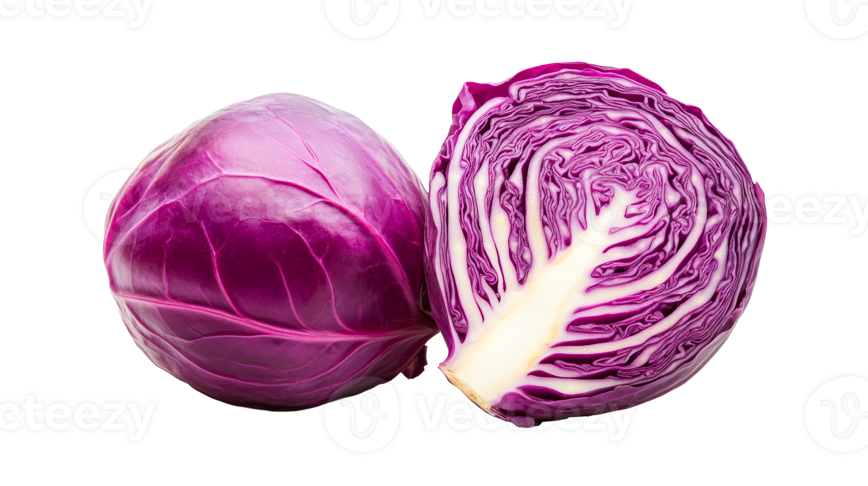 Half a purple cabbage on clear bg png